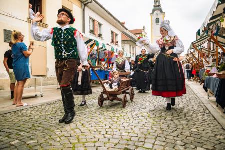 Povorka ob dnevih narodnih noš in oblačilne dedščine (90)